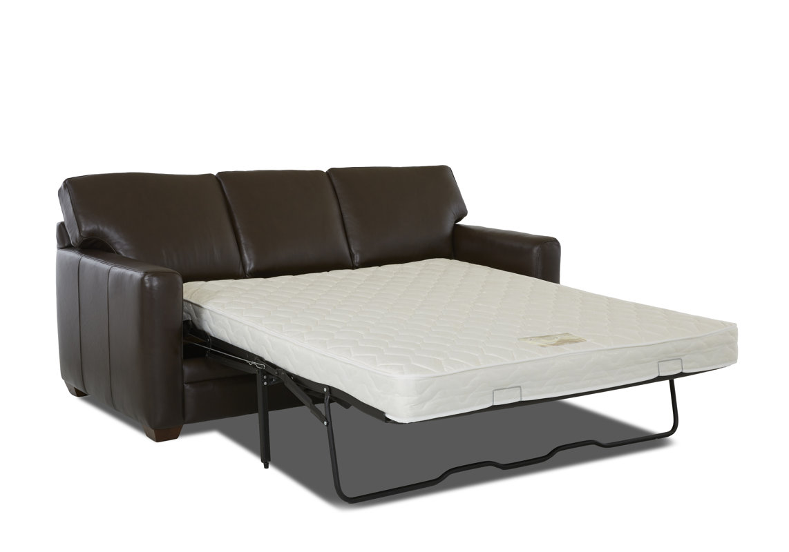 Wayfair Custom Upholstery™ Carleton Leather Sleeper & Reviews Wayfair